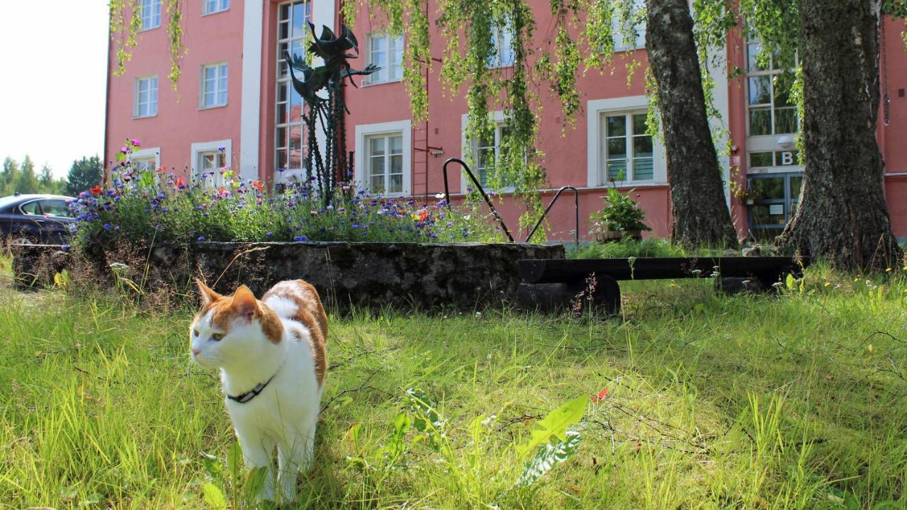 Vanha Koulu Suolahti المظهر الخارجي الصورة