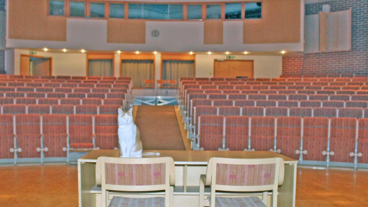 Vanha Koulu Suolahti المظهر الخارجي الصورة